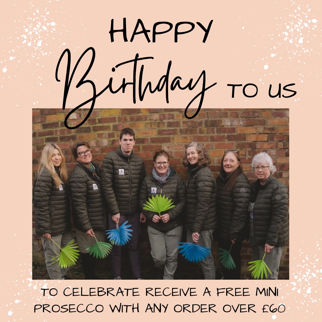 Its our Birthday - celebrate with us with a FREE GIFT on all orders in August (£60 and over)